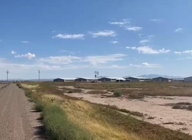 WhatsApp-Video-2022-03-03-at-23_35.jpeg